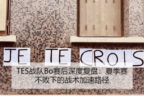 TES战队Bo赛后深度复盘：夏季赛不败下的战术加速路径